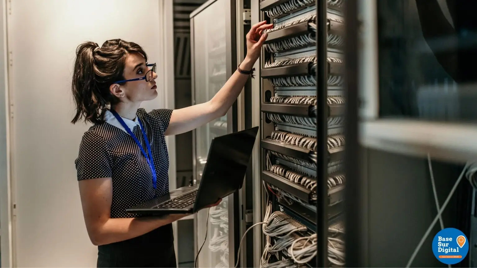 Bsd database